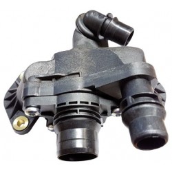  CUERPO TERM  PSA C5  08 P-407