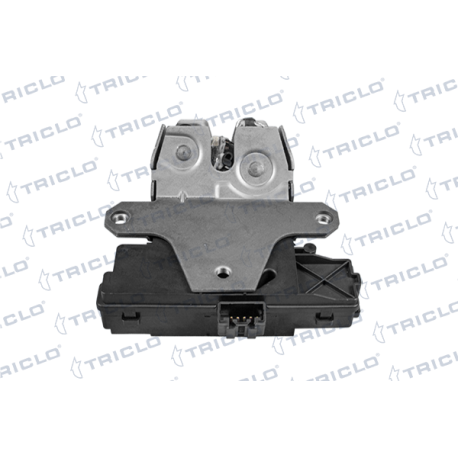  CERRA  PORTON TRAS FOCUS II
