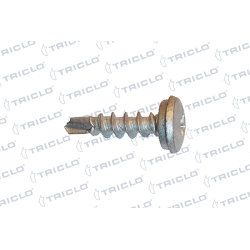  TORN MATRICULA TORX 4 8x15