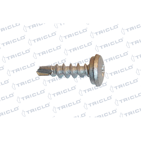  TORN MATRICULA TORX 4 8x15