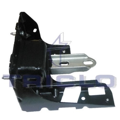"SOP.MOTOR IZQ.PSA C3 '10,208"
