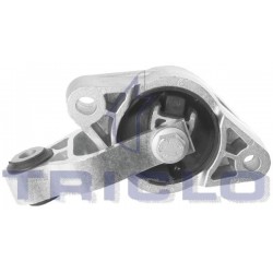  SOP MOTOR TRAS LAGUNA 3  07