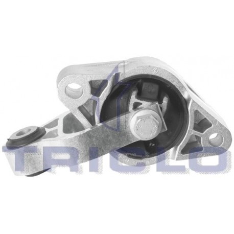  SOP MOTOR TRAS LAGUNA 3  07