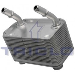  ENFRIADOR ACEITE BMW X5  00