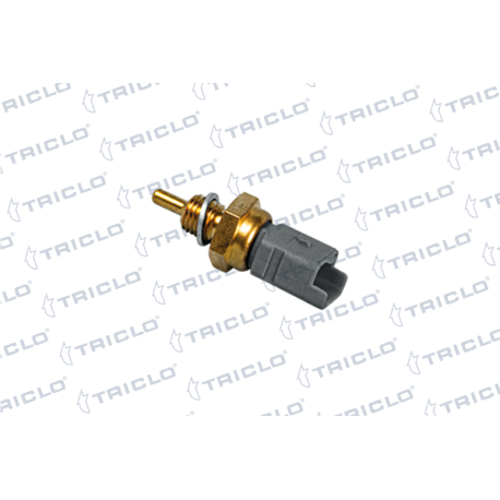  SENSOR TEMPERATURA PSA