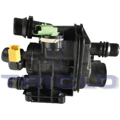 "CUERPO TERM.PSA MOT. 1.2 THP"