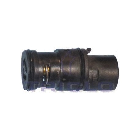 "TERMOSTATO ADICIONAL BMW D45"