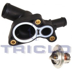  TAPA TERM MINI R52 53 mot W11