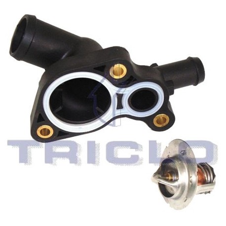  TAPA TERM MINI R52 53 mot W11