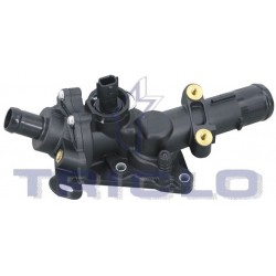 !CUERPO TERM.RENAULT 1.5DCI