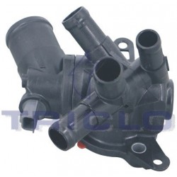  CUERPO TERM RENAULT 1 2TCE