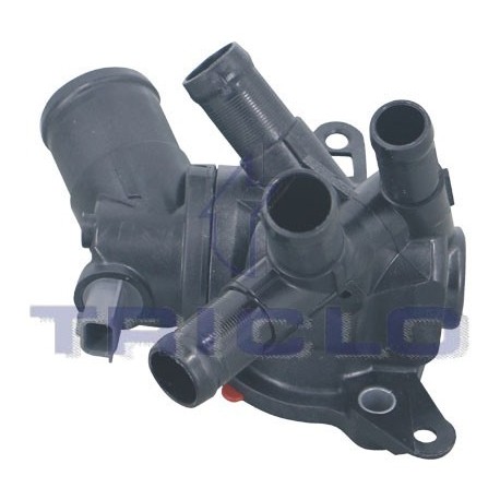  CUERPO TERM RENAULT 1 2TCE
