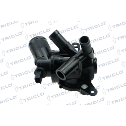  CUERPO TERM RENAULT 1 2TCE
