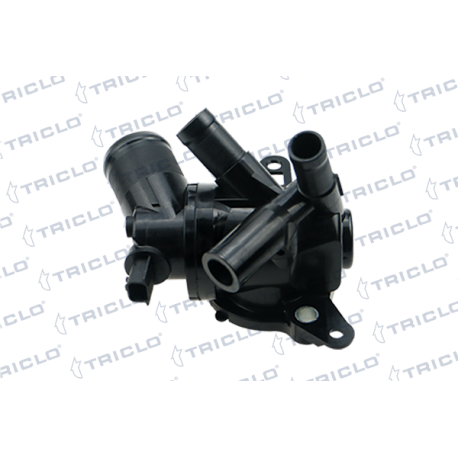  CUERPO TERM RENAULT 1 2TCE