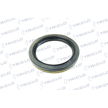  RETEN TRANSMISION RENAULT