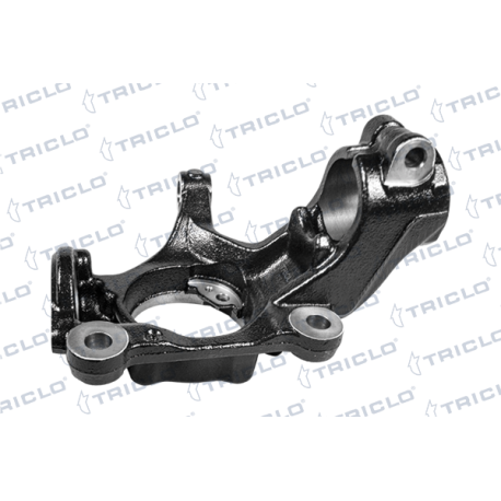 "MANGUETA DEL.DER.TRANSIT '13"