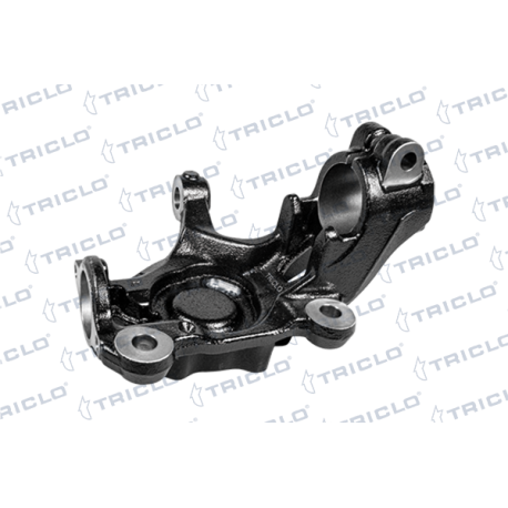 "MANGUETA DEL.DER.TRANSIT '19"