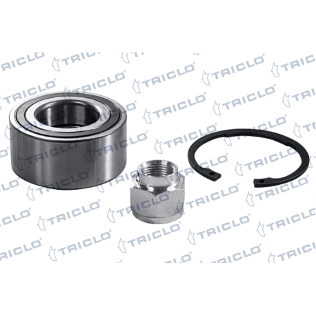  KIT RODAM  C2 C3 P-207 208