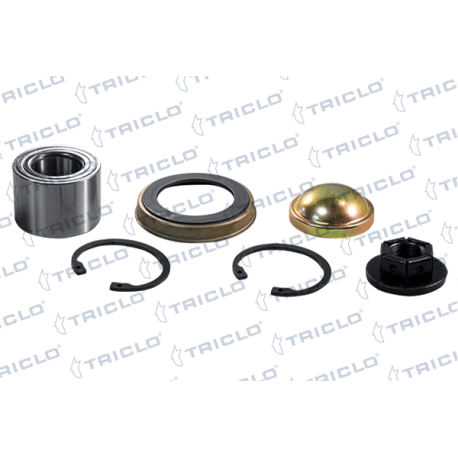  KIT RODAM  FORD FIESTAV
