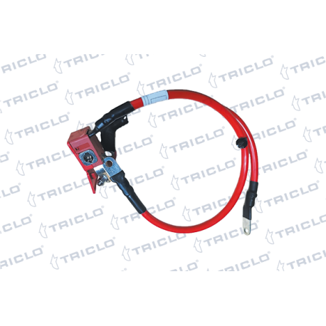"CABLE POSITIVO BATERIA BMW X5"