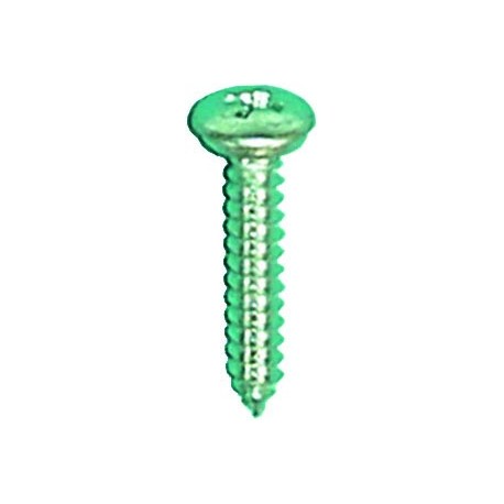 TORNILLO MATRICULA 4.8x25