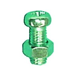 TORNILLO MATRICULA C/TUERCA