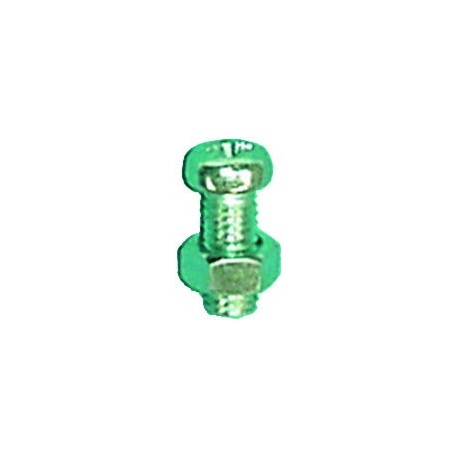TORNILLO MATRICULA C/TUERCA