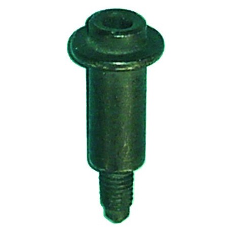 TORNILLO PARACHOQUES BRAVO,A