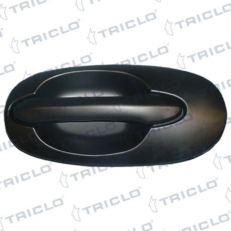  MAN EXT TRAS IZQ KIA CARNIVAL