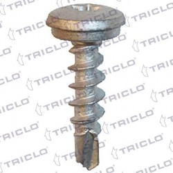  TORN MATRICULA TORX 4 8x25