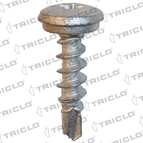  TORN MATRICULA TORX 4 8x25