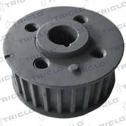  PINON CIGUENAL FIAT 2 0JTD