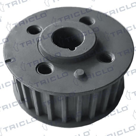  PINON CIGUENAL FIAT 2 0JTD