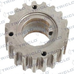  PINON CIGUENAL DACIA RENAULT