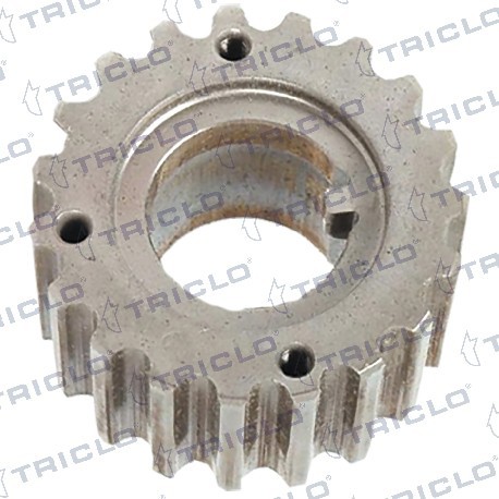  PINON CIGUENAL DACIA RENAULT