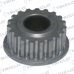  PINON CIGUENAL DACIA RENAULT