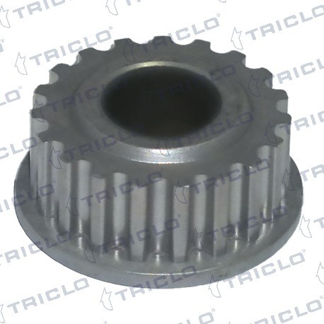  PINON CIGUENAL DACIA RENAULT