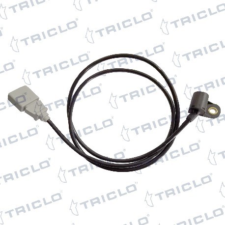  SENSOR CIGUENAL VAG TDI
