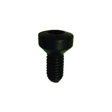 TORNILLO 6x17,5 KANGOO