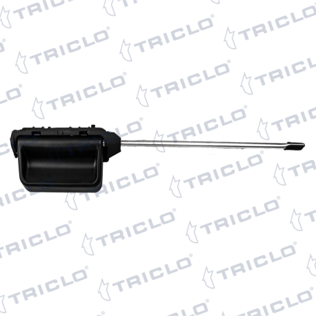   MAN INT  DCHA  TRANSPORTER V