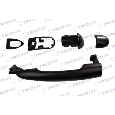   MAN EXT  DEL DCHA  MEGANE II