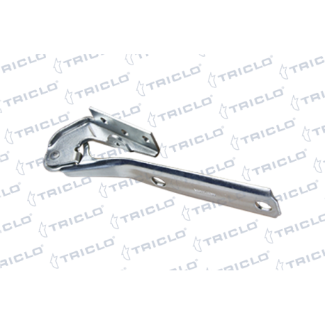   BISAGRA CAPO DER  SUPERB I