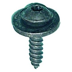 TORNILLO PASORUEDA RENAULT