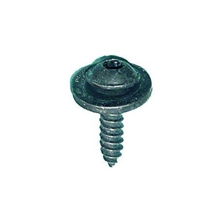 TORNILLO PASORUEDA RENAULT