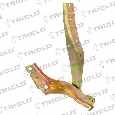 "BISAGRA CAPO IZQ. 308 I '07"