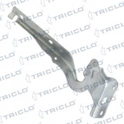 "BISAGRA CAPO DER. 508 I '10"