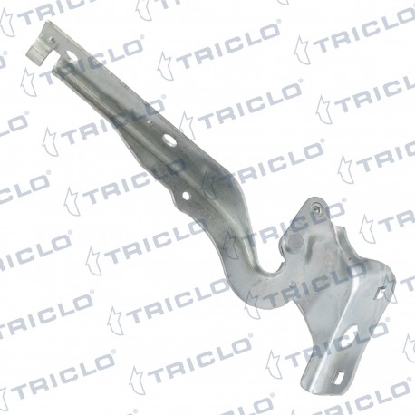 "BISAGRA CAPO DER. 508 I '10"