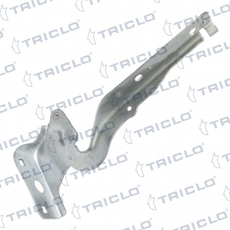  BISAGRA CAPO IZQ  508 I  10