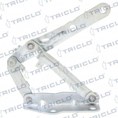 "BISG. CAPO IZQ. TRANSPORTER V"