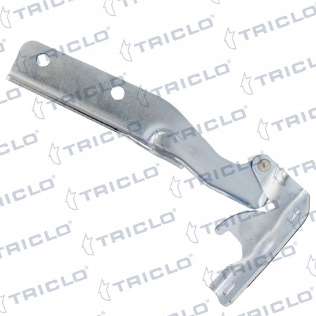 "BISAGRA CAPO DER. DOBLO I '00"